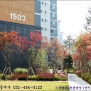 내손중앙로~내손로 네이버블로그