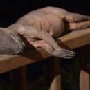 외양농장 이미지