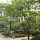 포레스타부동산공인중개사사무소 이미지