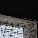 백산빌딩 이미지