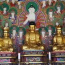 창원 성흥사 목조아미타여래삼존좌상 이미지