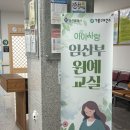 원예교실 | [임신 18주] 기흥구 보건소 임산부 원예교실 4월 신청 방법 및 참여 후기 / 꽃바구니 만들기 / 태교수업