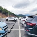 백배목장 | 충북 단양 여행 코스 아이와 갈만한곳 사계절썰매장 트램플린