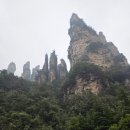 천하공원 | 촬영지 무릉원(삼림공원) 원가계 노패키지 자유여행 하는 법 A-Z까지 :: 건곤주, 천하제일교, 천자산...