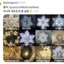 생각이 물을 변화시킨다 이미지