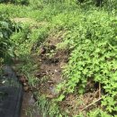 광일푸드시스템 이미지