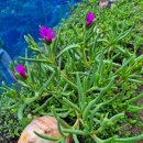 길산농장 이미지