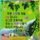 ***♠♠ 新綠의 6월(June of Greenery) - ♬ 동요/푸르다/게시판 배경활용 ♠♠*** 이미지