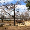 갈맷길8-2 이미지