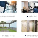여의도씨티약국 이미지