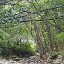 용현자연휴양림 야영장 이미지