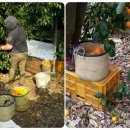 삼백농장 이미지