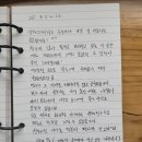 스테이나무 이미지