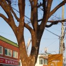 고서문 네이버블로그