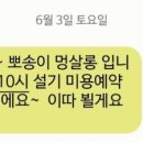 뽀송이 멍살롱 이미지