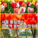 응봉체육공원 | 응봉역 용비쉼터정원 튤립 꽃길 아침 산책 (가는 법 : 대중교통편, 주차장 정보)