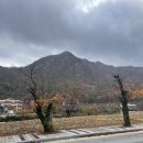 삼부자&동그리 이미지