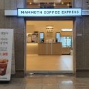 매머드익스프레스 네이버블로그