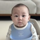 지오푸드 | 8개월차 지오의 이유식 기록