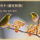 교훈글-강구대우(講究對偶) 이미지