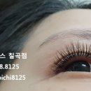 비치앤레푸스