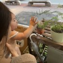 아이러브나영 이미지