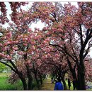 월곡역사공원 이미지