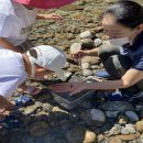 화개초병설유치원 이미지