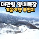 대관령 양떼목장 후기 겨울여행 추천지