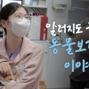 메이동물메디컬센터