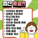 뉴아인약국 | 임신준비엽산추천 뉴아인약국 프리솔라 활성엽산