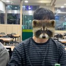 우가야돈가야 이미지