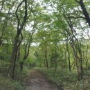 영실농장 이미지