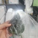 스플래쉬민 이미지