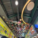 웅이목장 | In gangneung 🌊
