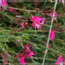 뚝섬한강공원-102 이미지