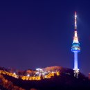 달맞이밤 이미지