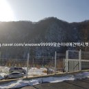 해피 펫 택시 이미지