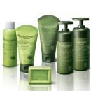 에코라인 이미지