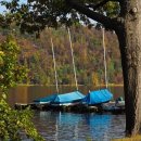 조아조아 이미지