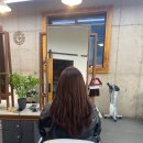 살롱디엘헤어샵 네이버블로그
