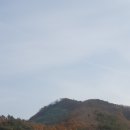 최종길농장 이미지