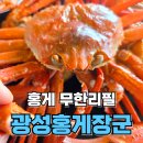광성 | 속초 홍게 무한리필 맛집 광성홍게장군 후기｜가성비 속초 홍게 맛집 추천
