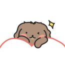 요가1(야간) 이미지