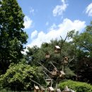 서운동산 이미지