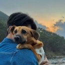 지리산스테이 이미지