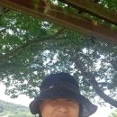 선하한의원