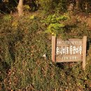 들꽃마을 이미지