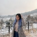 미미시루 이미지