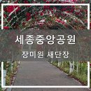중앙공원1단계 도시전망대 이미지